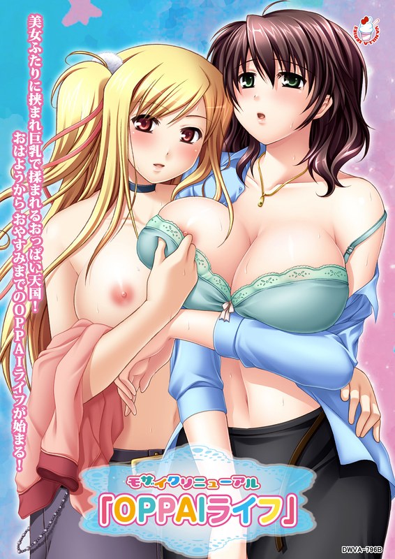 【エロアニメ】｜モザイクリニューアル「OPPAIライフ」｜バニラ